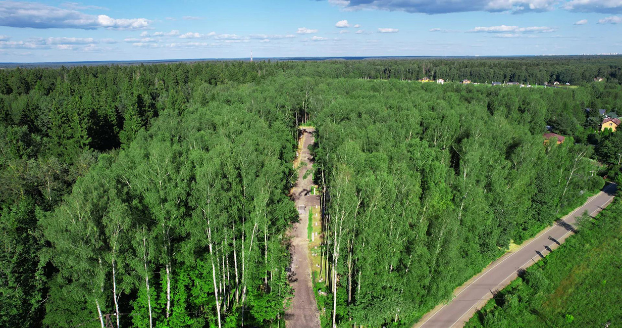 Фото 2 поселок ПриЛесной